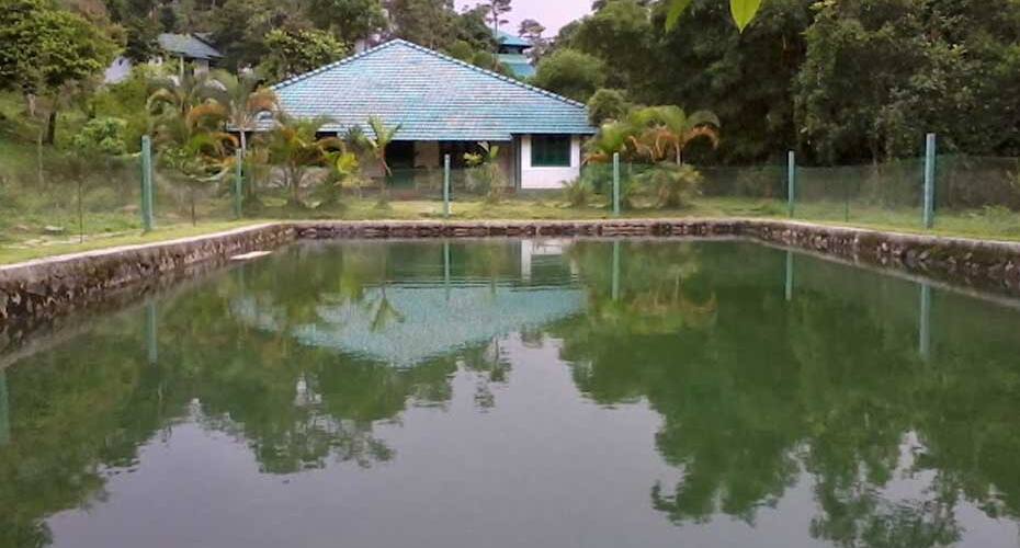 Orchard Holiday Resort, Wayanad 5